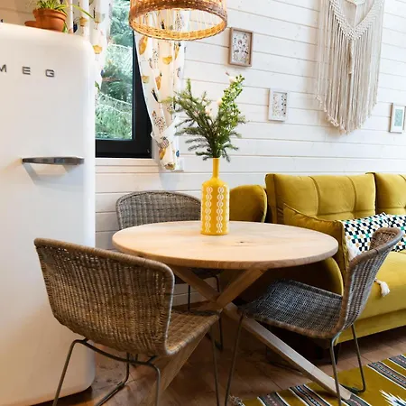 Chili Shale יבלוניצה