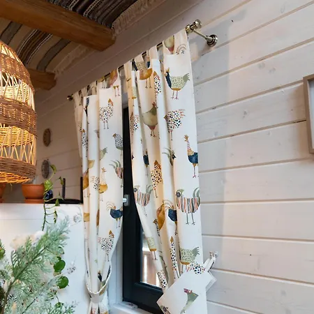 Chili Shale * Jabłonica