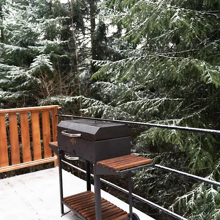 Chili Shale יבלוניצה