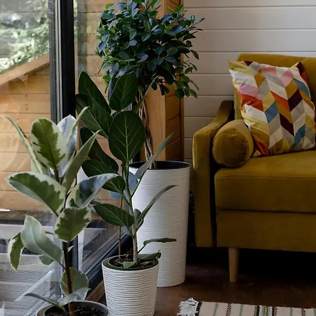 Domek alpejski Chili Shale *