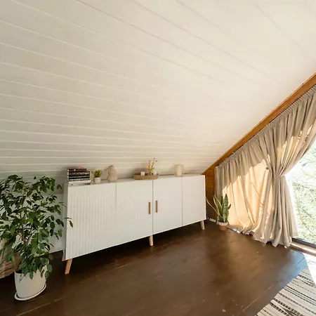 Chili Shale * יבלוניצה