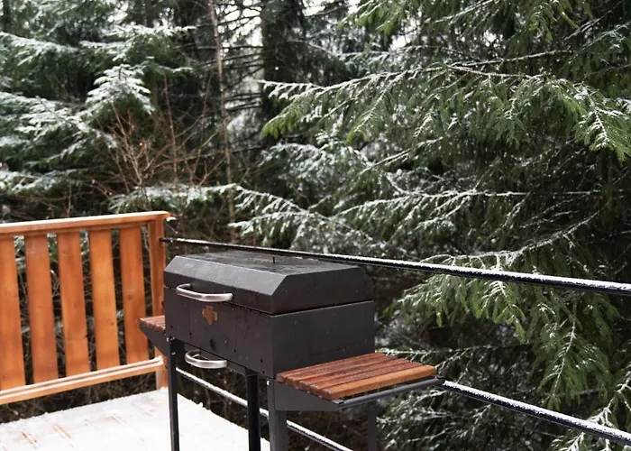 Chili Shale يابلونيتسيا