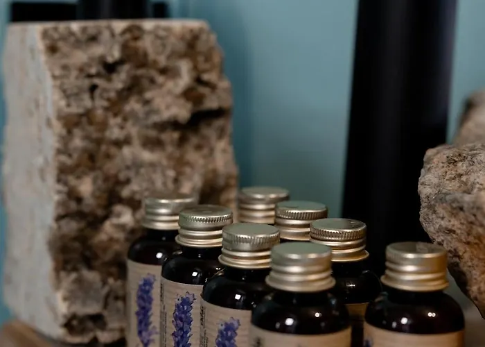 Chili Shale شاليه يابلونيتسيا